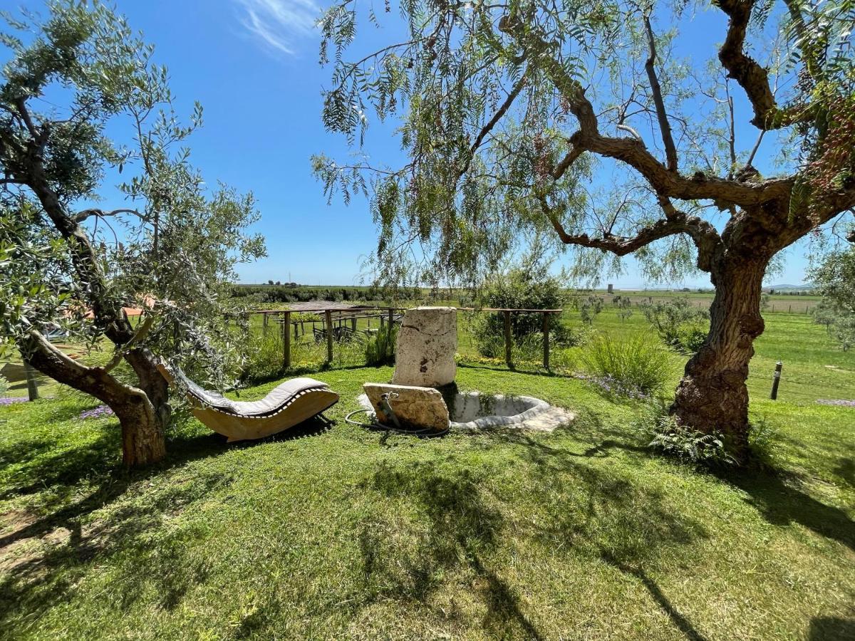 Casa Daniele ξενώνας Canino Εξωτερικό φωτογραφία